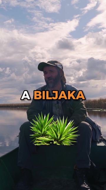 Zasavica — život na malom prostoru