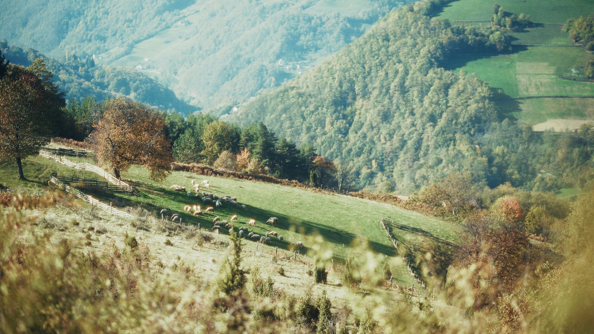 Kadar sa terena — priprema na vatri